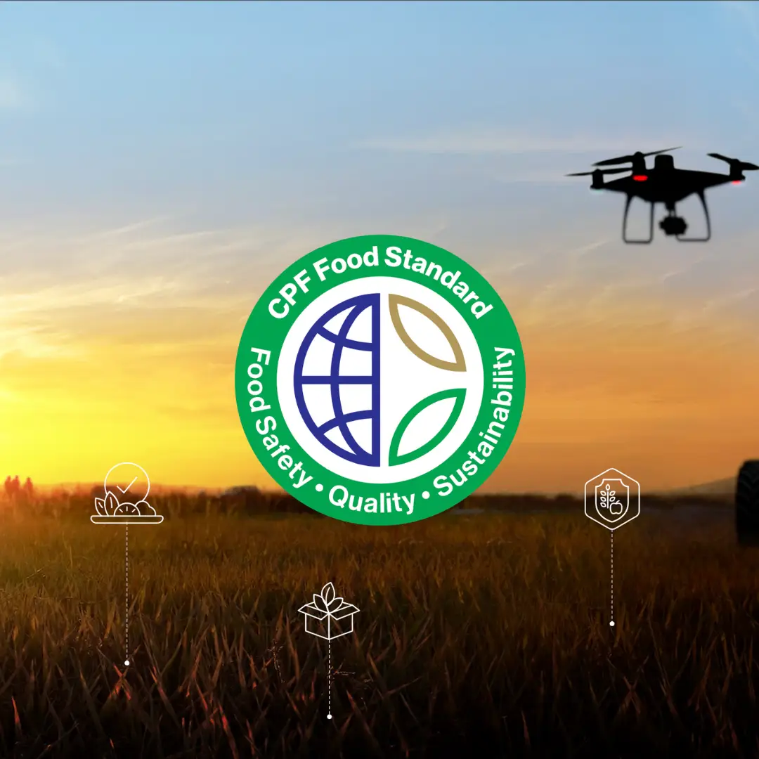 Cover website cpf batch